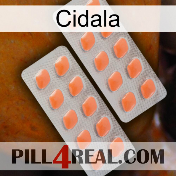 Cidala 27